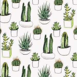 Meet your Posher, Ariela